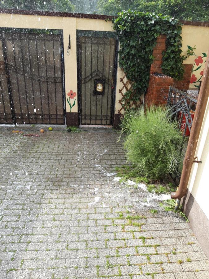 Papas Apartments Bucurestii Noi Zewnętrze zdjęcie